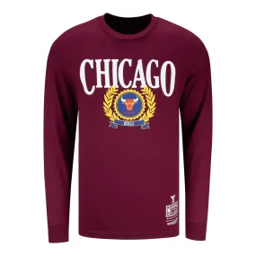 Chicago Bulls Mitchell & Ness Collegiate Ivy League T-Shirt